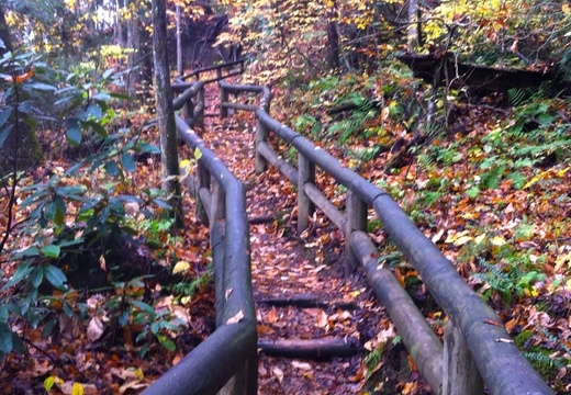 Natural Bridge State Park